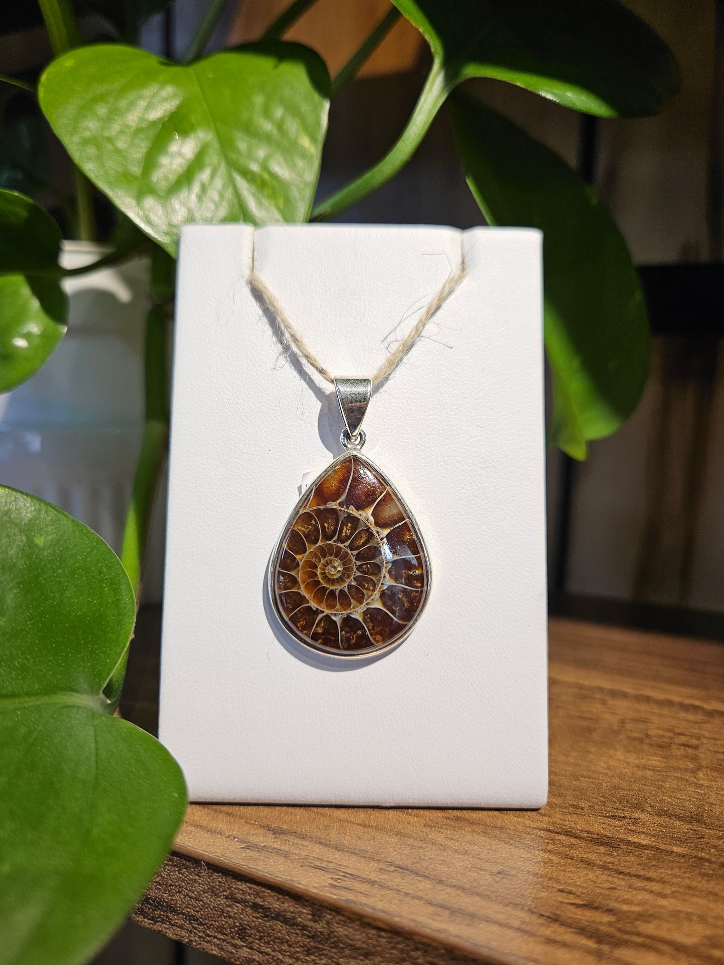 Ammonite Pendant