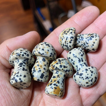 Dalmatian Jasper Mushrooms 1.5 inch Mountain Mineral Market