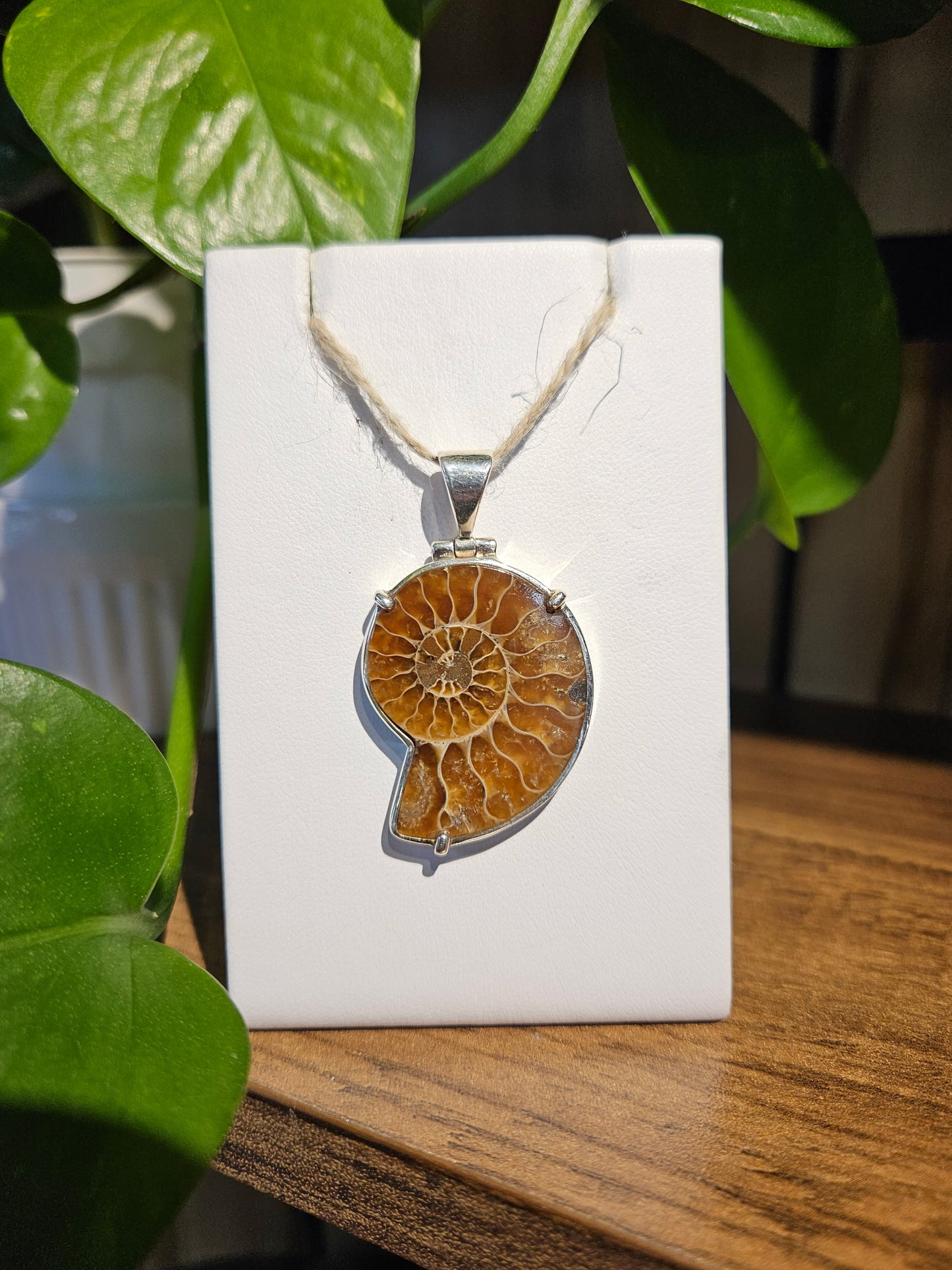 Ammonite Pendant
