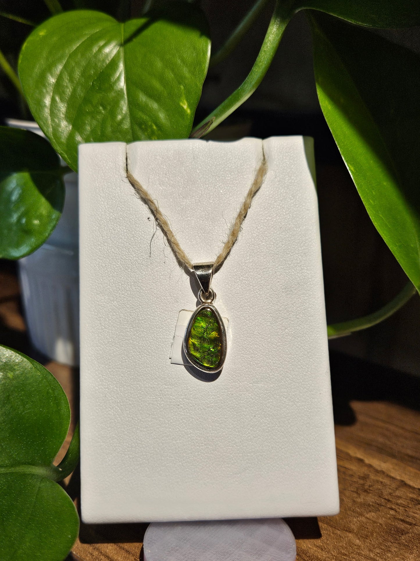 Ammolite Pendant