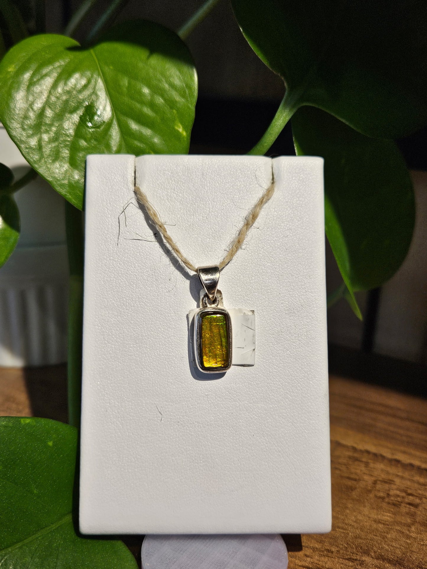 Ammolite Pendant