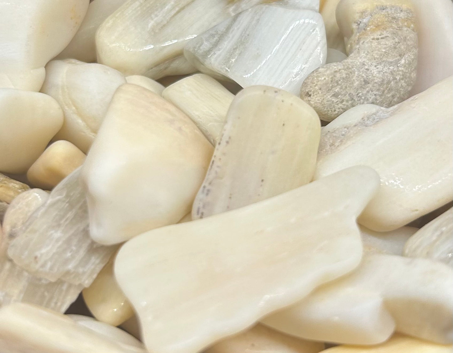 Lemon Yellow Opalized Wood