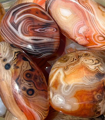 Sardonyx Palms Mountain Mineral Market