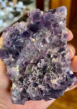 Load image into Gallery viewer, Purple Fluorite on Matrix
