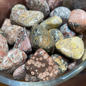 Leopard Skin Jasper Tumbles